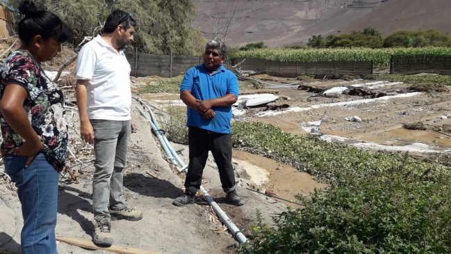 Arica y Parinacota: Evalúan situación agrícola tras inundaciones