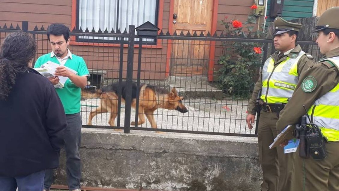 Ancud: Iniciaron fiscalización por tenencia responsable de mascotas