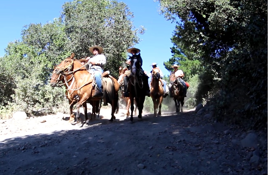 Jinetes repitieron histórica cabalgata hacia los Nevados de Longaví