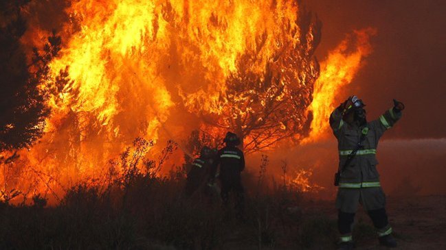 Balance de Onemi: 18 incendios forestales siguen activos en el centro sur del país