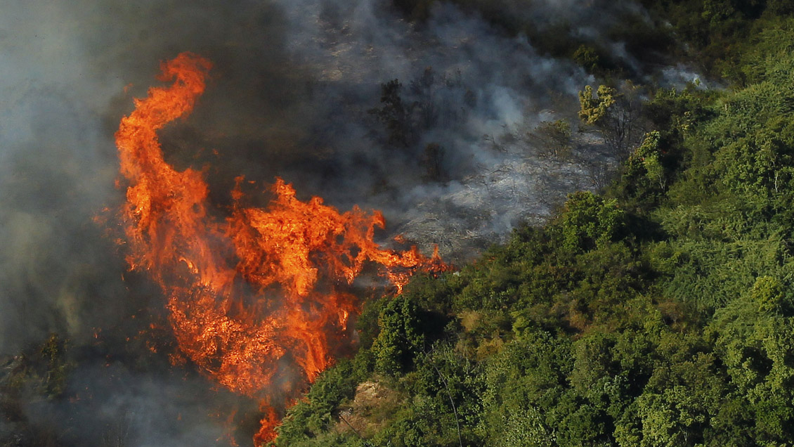 Balance de Onemi: 16 incendios forestales en combate en La Araucanía