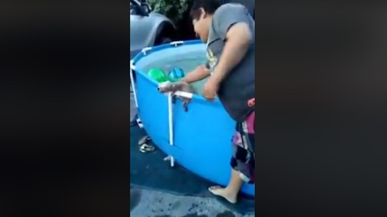 Sujeto maltrató a perro en una piscina y provocó indignación