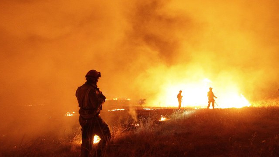 Balance de Onemi: 21 incendios forestales 
