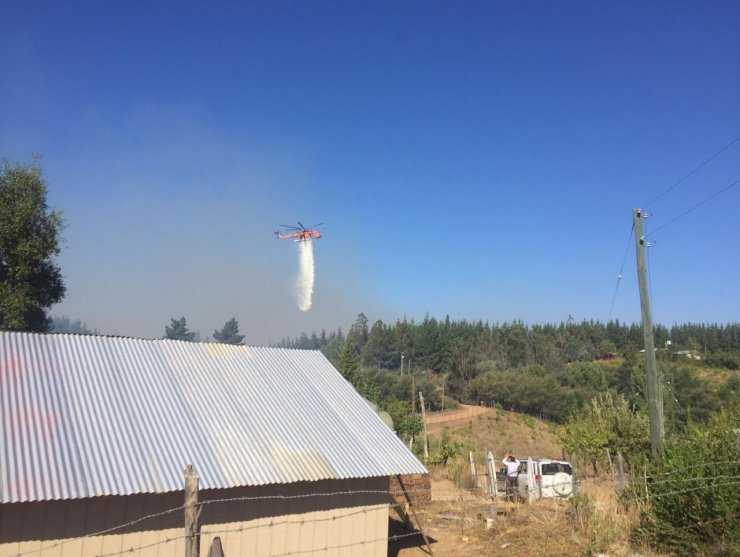 Ñuble: Decretan alerta roja por incendio forestal en Trehuaco