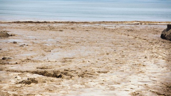 Declaran Alerta Roja para la Provincia del Tamarugal por precipitaciones