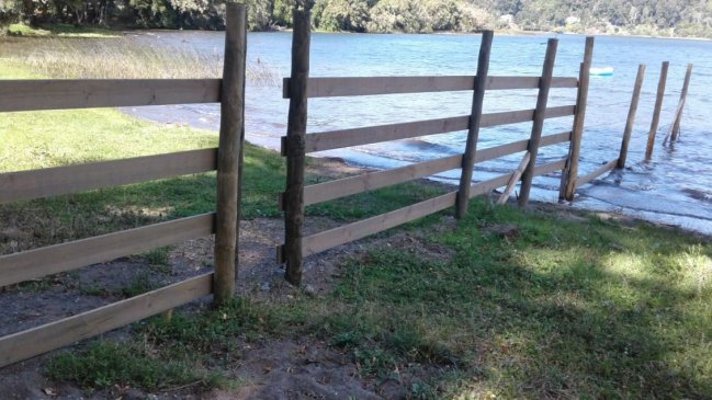 Alcalde de Lago Ranco pide 