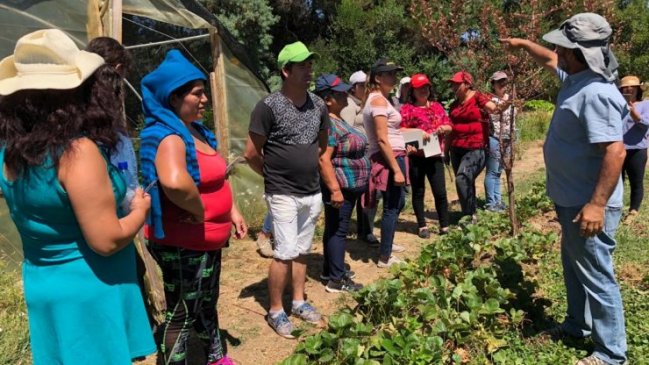 Ñuble: 90 emprendedores se capacitaron en cultivos agroecológicos