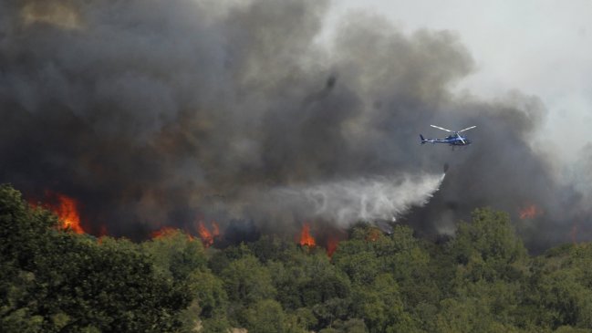 Incendios forestales en La Araucanía ya consumen más de 12 mil hectáreas