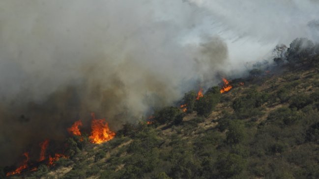 Balance de Onemi: 19 incendios forestales 