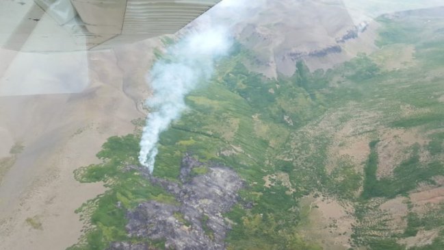 Incendio en Reserva Ñuble no presenta riesgo para visitantes ni fauna protegida