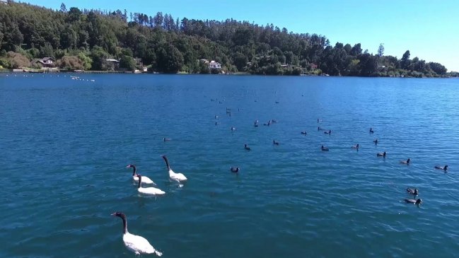 Privilegio de pocos: Laguna Chica de San Pedro de la Paz no tiene acceso libre a sus playas