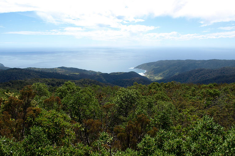 Parque Oncol de Valdivia se suma a la realidad aumentada para recibir turistas a distancia