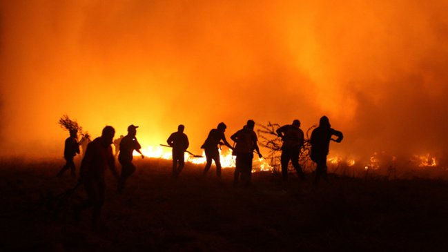 Alerta roja en cinco regiones: 17 incendios forestales 