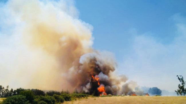 Jefe de zona en La Araucanía preocupado por aumento de temperaturas y viento