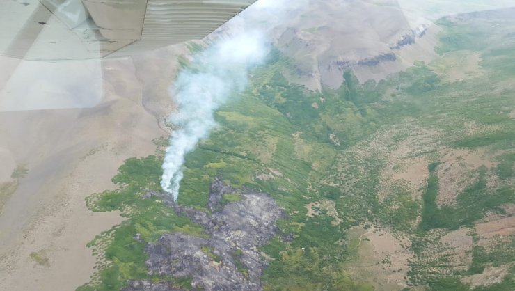 Tras cuatro días, controlan incendio en la Reserva Nacional Ñuble