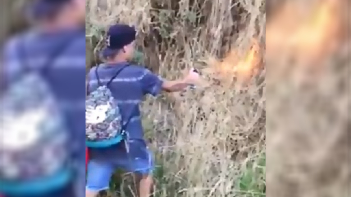Descartan que video de menores incendiando un bosque sean siniestros de Penco y Coronel