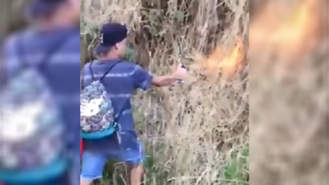 Descartan que video de menores incendiando un bosque sean siniestros de Penco y Coronel