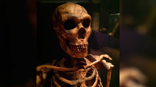 Encuentran la segunda huella de neandertal en el mundo