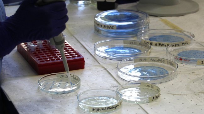 Minsal e ISP ordenan retiro de suplemento para recién nacidos por presencia de bacteria