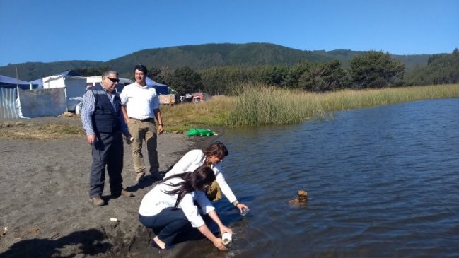 Ñuble: Autoridad sanitaria confirma que aguas de ríos de Cobquecura califican para balnearios