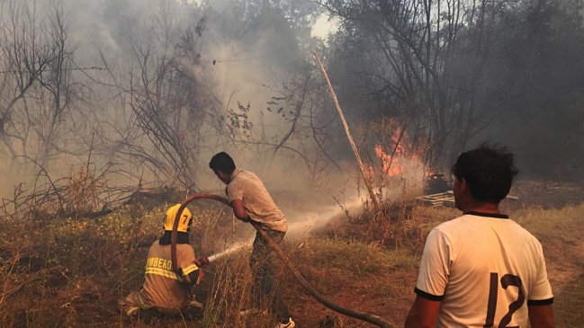 Decretan alerta roja en Chillán y Coelemu por incendios forestales de rápida de propagación