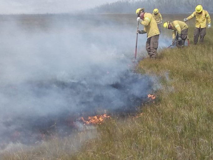 Conaf: Cuando comenzó el incendio en Aysén, estábamos en La Araucanía con tres focos