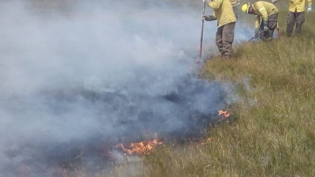 Conaf: Cuando comenzó el incendio en Aysén, estábamos en La Araucanía con tres focos