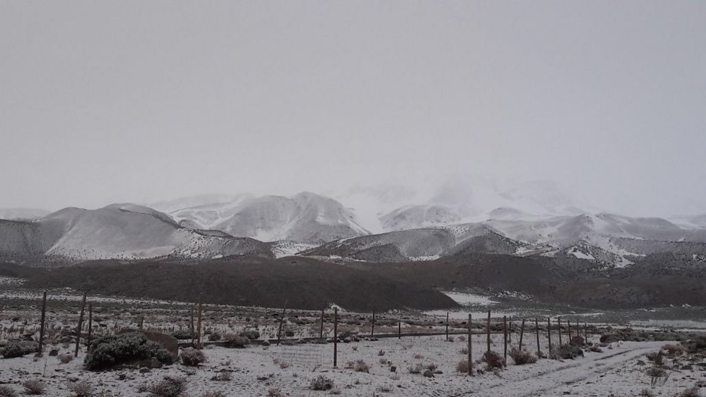 Alcalde de Colchane y emergencia: 