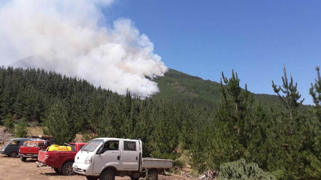 Parral: Ejército se sumó a combate de incendio que ha consumido 340 hectáreas