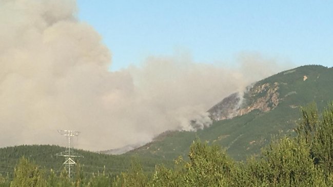 Conaf Maule solicitó apoyo de Ten Tanker para combatir incendio de Parral