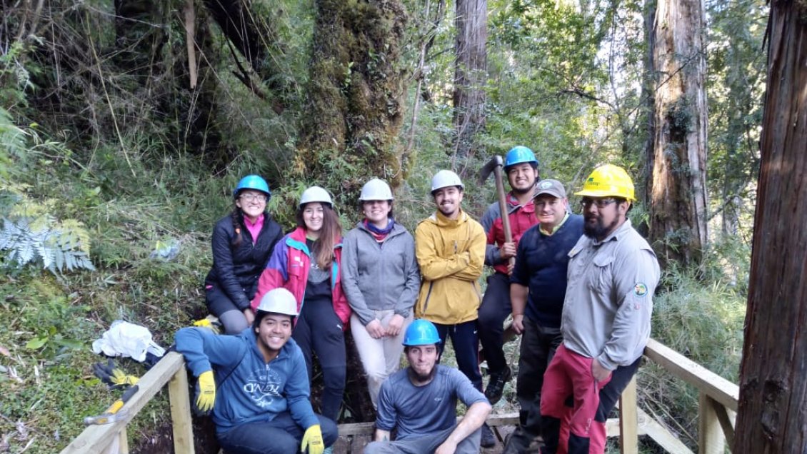 Jóvenes mejoraron accesos y senderos en Parque Nacional Alerce Andino