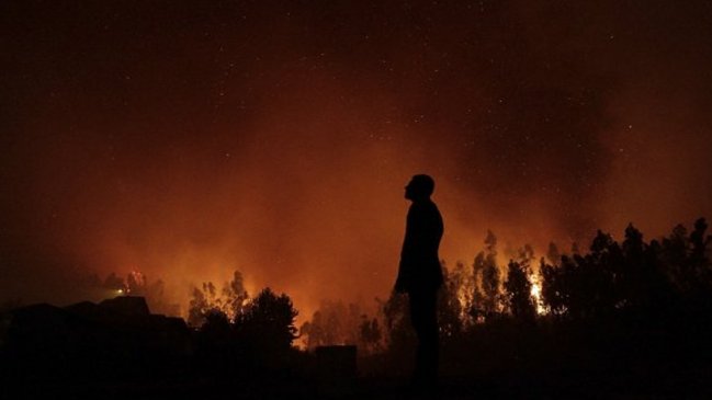 Casas, galpones y 2.500 hectáreas quemadas en Nacimiento por incendios forestales