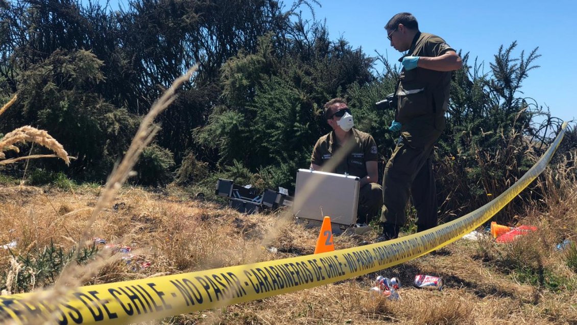 Cinco detenidos en Ancud por provocar incendio forestal