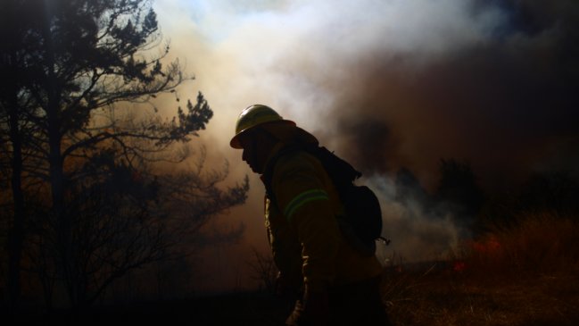 La Araucanía: Brigadistas amenazan con paralización en medio de incendios forestales