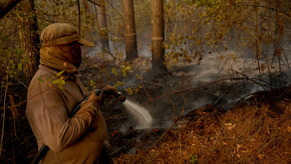 Biobío registra 8.000 hectáreas afectadas por incendios forestales desde julio a la fecha
