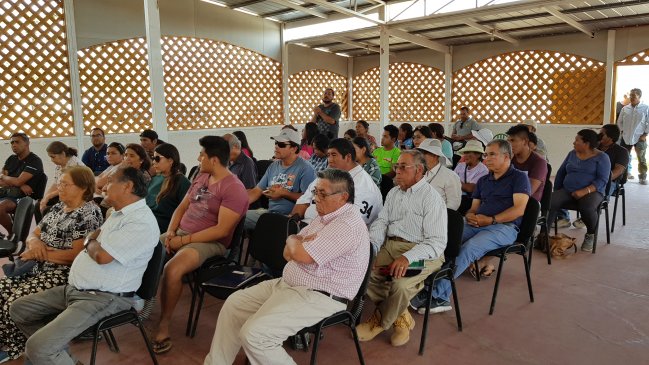 Agricultores de Pica piden información para recibir ayuda tras emergencia climática