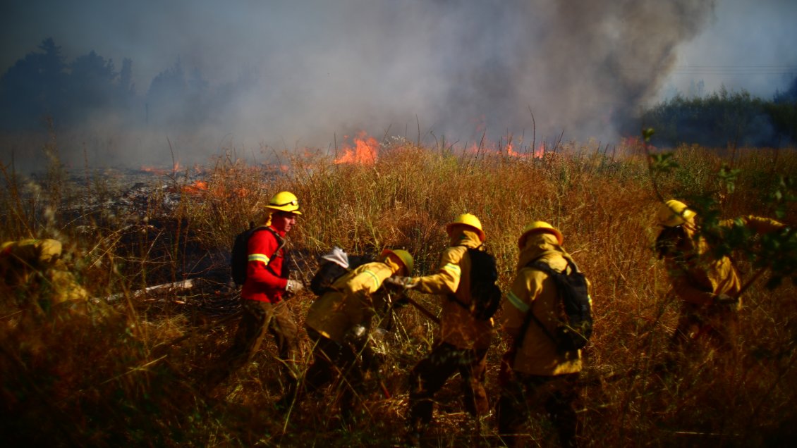 Los planes que estudian las autoridades para prevenir incendios forestales