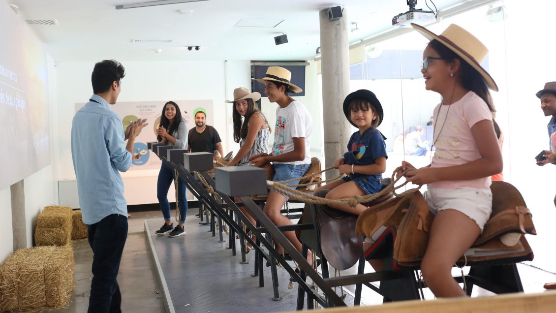 Panoramas entretenidos y educativos para el final de las vacaciones