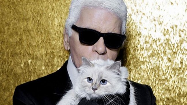Choupette, la célebre gata de Karl Lagerfeld, única heredera de su legado