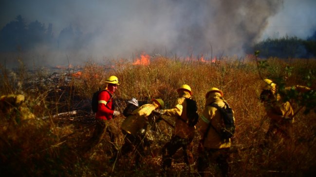 Los planes que estudian las autoridades para prevenir incendios forestales