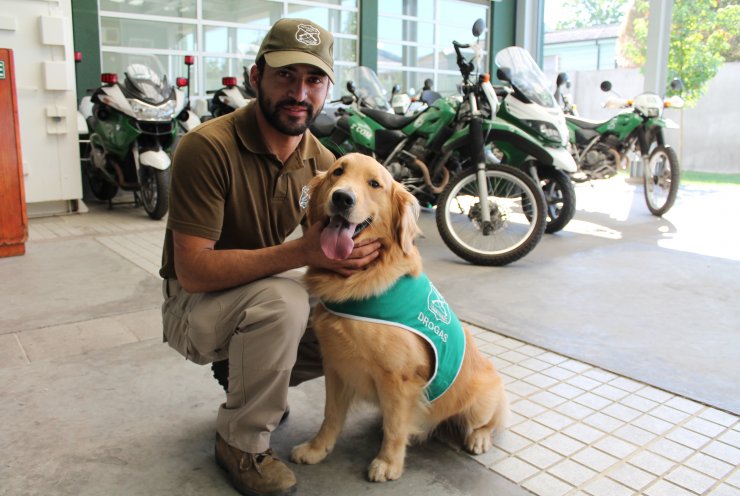 Carabineros Presentó A "Derby", El Primer Perro Del OS7 En La Región De ...