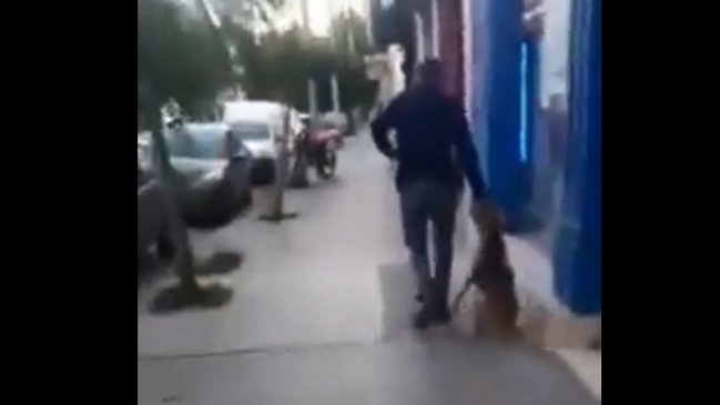 Viralizaron maltrato a un perro en plena calle y el dueño terminó en una comisaría