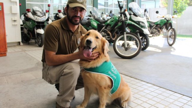 Carabineros presentó a 