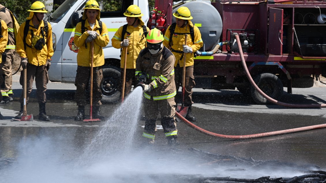 Anuncian alianza público-privada para combatir incendios forestales en O'Higgins