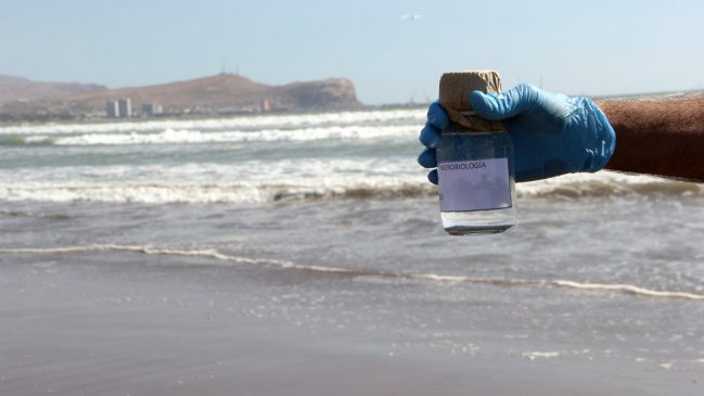 Arica: Levantan prohibición de baño en playa Chinchorro y Las Machas