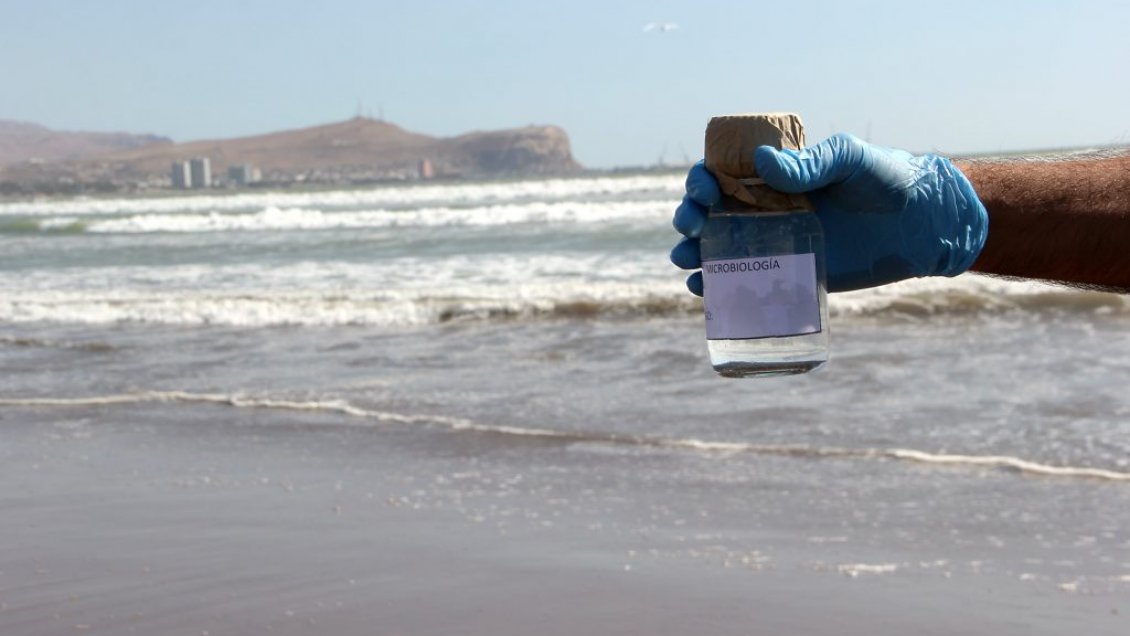 Arica: Levantan prohibición de baño en playa Chinchorro y Las Machas