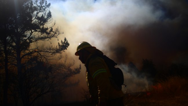 Biobío: Agricultores afectados por incendios reciben fardos para alimento de ganado