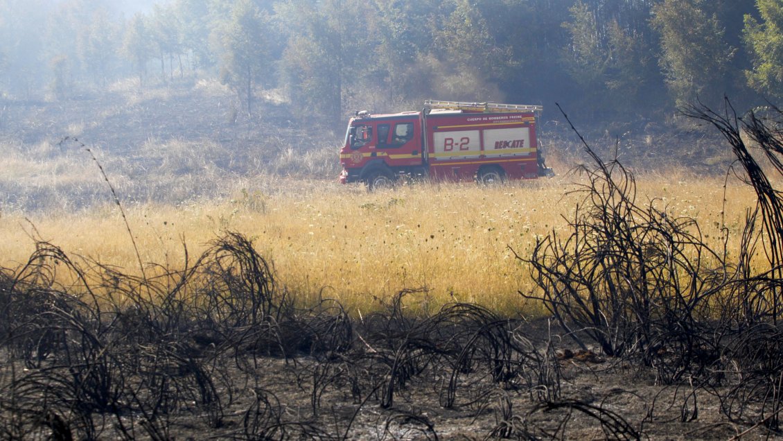 Conaf: No hay ley que asigne recursos para reforestar tras un incendio