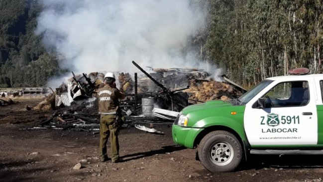 Incendio destruyó un galpón con fardos en la Región de Los Ríos
