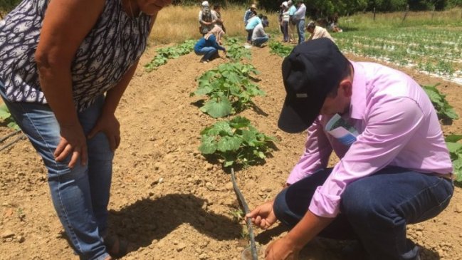 Plan Ñuble: Comerciantes adhieren a peticiones de agricultores respecto a riego y conectividad